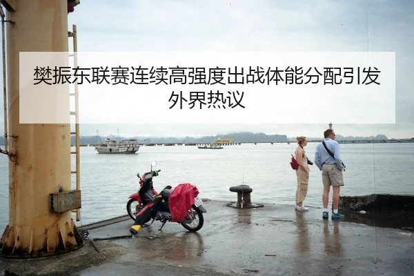 樊振东联赛连续高强度出战体能分配引发外界热议（mksports）